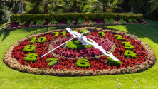 Vina_Del_Mar_Flower_Clock.png